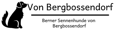 Von-Bergbossendorf
